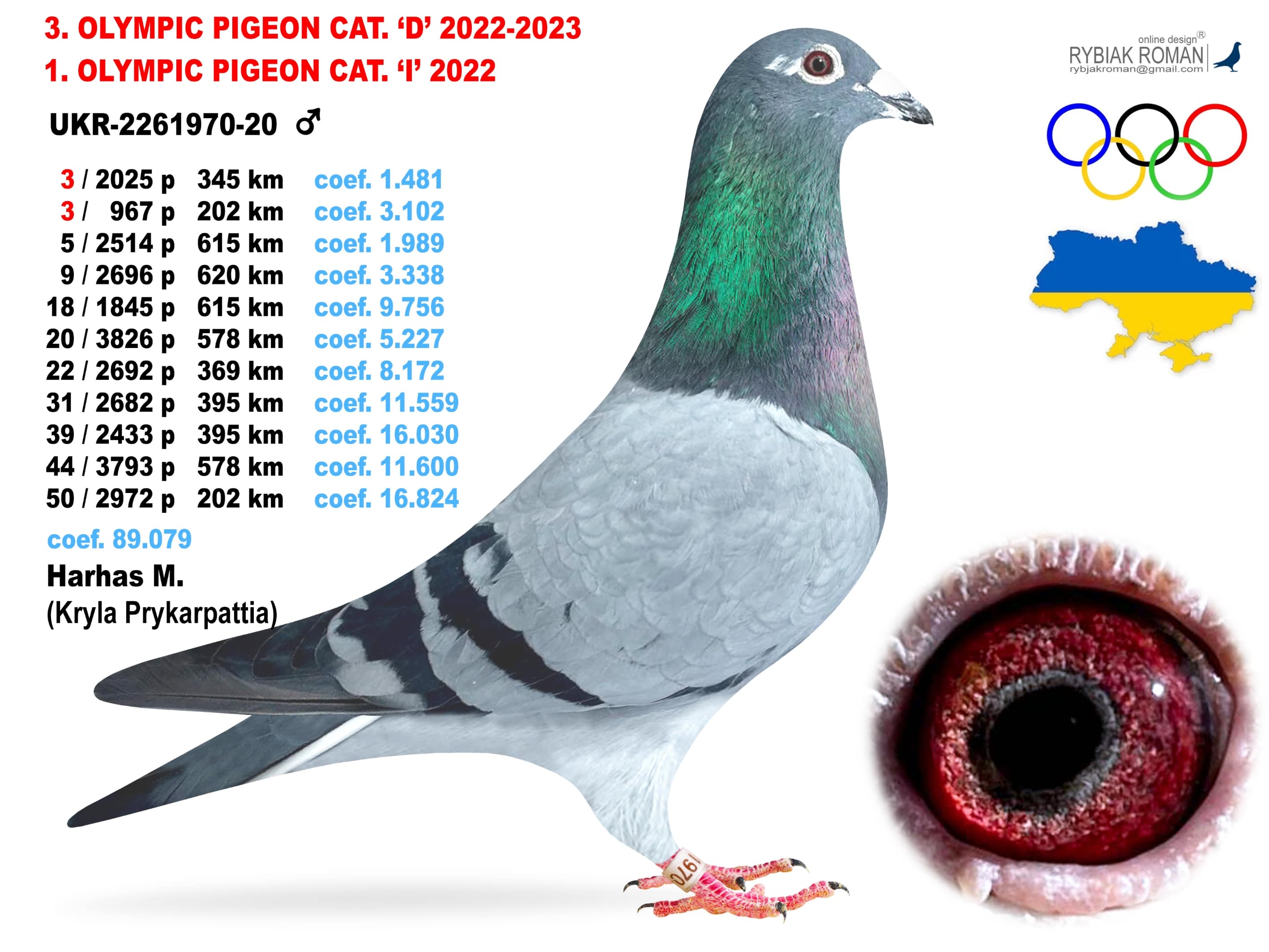 2023-D3